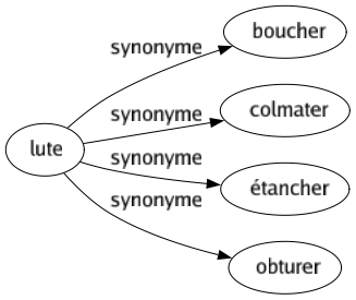 Synonyme de Lute : Boucher Colmater Étancher Obturer 