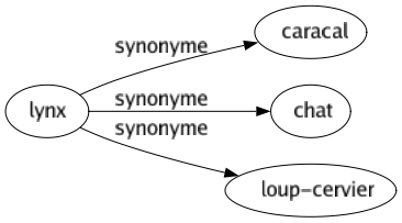 Synonyme de Lynx : Caracal Chat Loup-cervier 