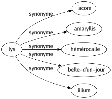Synonyme de Lys : Acore Amaryllis Hémérocalle Belle-d'un-jour Lilium 