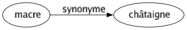 Synonyme de Macre : Châtaigne 