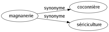 Synonyme de Magnanerie : Coconnière Sériciculture 