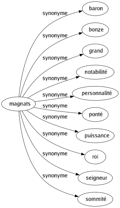 Synonyme de Magnats : Baron Bonze Grand Notabilité Personnalité Ponté Puissance Roi Seigneur Sommité 