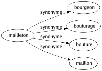Synonyme de Mailleton : Bourgeon Bouturage Bouture Maillon 