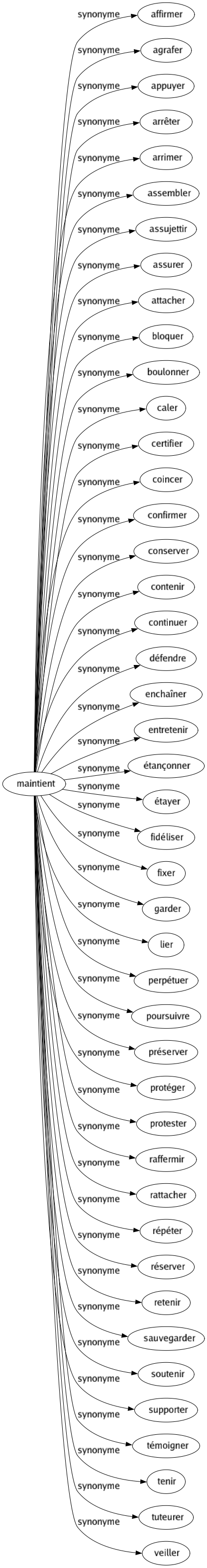 Synonyme de Maintient : Affirmer Agrafer Appuyer Arrêter Arrimer Assembler Assujettir Assurer Attacher Bloquer Boulonner Caler Certifier Coincer Confirmer Conserver Contenir Continuer Défendre Enchaîner Entretenir Étançonner Étayer Fidéliser Fixer Garder Lier Perpétuer Poursuivre Préserver Protéger Protester Raffermir Rattacher Répéter Réserver Retenir Sauvegarder Soutenir Supporter Témoigner Tenir Tuteurer Veiller 