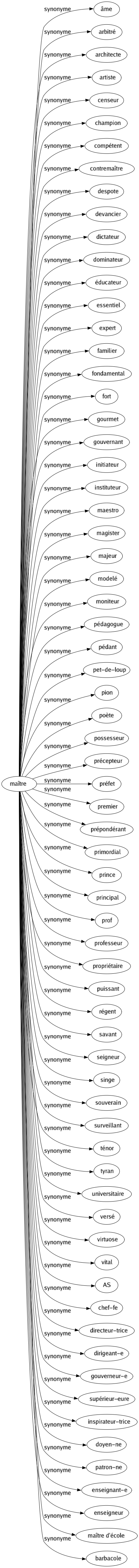 Synonyme de Maître : Âme Arbitré Architecte Artiste Censeur Champion Compétent Contremaître Despote Devancier Dictateur Dominateur Éducateur Essentiel Expert Familier Fondamental Fort Gourmet Gouvernant Initiateur Instituteur Maestro Magister Majeur Modelé Moniteur Pédagogue Pédant Pet-de-loup Pion Poète Possesseur Précepteur Préfet Premier Prépondérant Primordial Prince Principal Prof Professeur Propriétaire Puissant Régent Savant Seigneur Singe Souverain Surveillant Ténor Tyran Universitaire Versé Virtuose Vital As Chef-fe Directeur-trice Dirigeant-e Gouverneur-e Supérieur-eure Inspirateur-trice Doyen-ne Patron-ne Enseignant-e Enseigneur Maître d'école Barbacole 