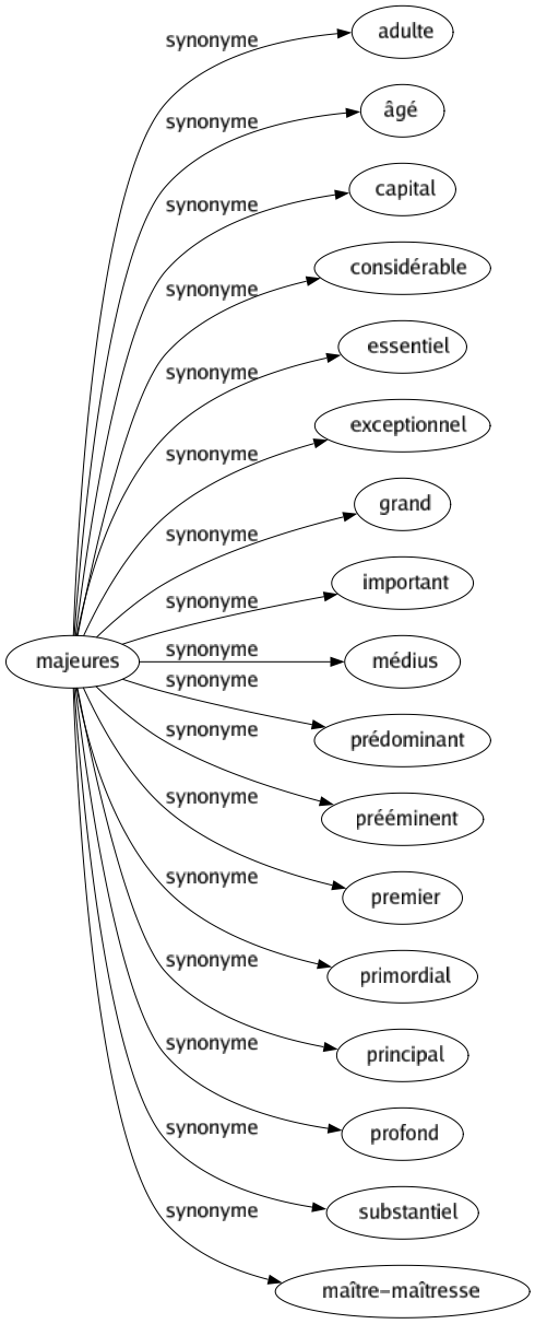 Synonyme de Majeures : Adulte Âgé Capital Considérable Essentiel Exceptionnel Grand Important Médius Prédominant Prééminent Premier Primordial Principal Profond Substantiel Maître-maîtresse 