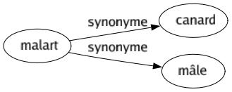 Synonyme de Malart : Canard Mâle 