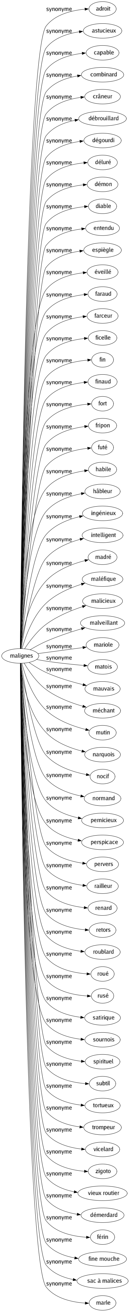 Synonyme de Malignes : Adroit Astucieux Capable Combinard Crâneur Débrouillard Dégourdi Déluré Démon Diable Entendu Espiègle Éveillé Faraud Farceur Ficelle Fin Finaud Fort Fripon Futé Habile Hâbleur Ingénieux Intelligent Madré Maléfique Malicieux Malveillant Mariole Matois Mauvais Méchant Mutin Narquois Nocif Normand Pernicieux Perspicace Pervers Railleur Renard Retors Roublard Roué Rusé Satirique Sournois Spirituel Subtil Tortueux Trompeur Vicelard Zigoto Vieux routier Démerdard Férin Fine mouche Sac à malices Marle 