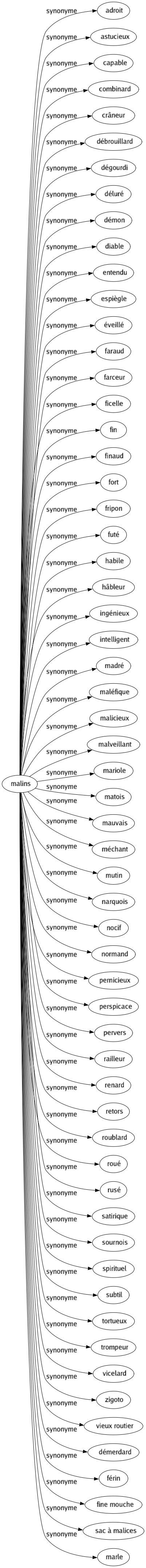 Synonyme de Malins : Adroit Astucieux Capable Combinard Crâneur Débrouillard Dégourdi Déluré Démon Diable Entendu Espiègle Éveillé Faraud Farceur Ficelle Fin Finaud Fort Fripon Futé Habile Hâbleur Ingénieux Intelligent Madré Maléfique Malicieux Malveillant Mariole Matois Mauvais Méchant Mutin Narquois Nocif Normand Pernicieux Perspicace Pervers Railleur Renard Retors Roublard Roué Rusé Satirique Sournois Spirituel Subtil Tortueux Trompeur Vicelard Zigoto Vieux routier Démerdard Férin Fine mouche Sac à malices Marle 