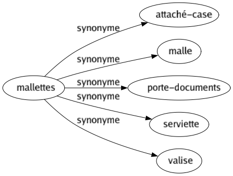 Synonyme de Mallettes : Attaché-case Malle Porte-documents Serviette Valise 