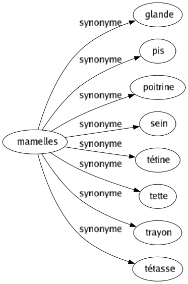 Synonyme de Mamelles : Glande Pis Poitrine Sein Tétine Tette Trayon Tétasse 