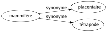 Synonyme de Mammifère : Placentaire Tétrapode 