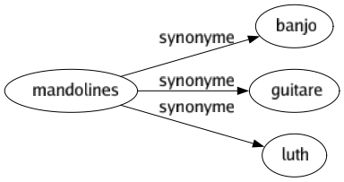 Synonyme de Mandolines : Banjo Guitare Luth 