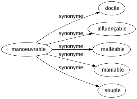 Synonyme de Manoeuvrable : Docile Influençable Malléable Maniable Souple 