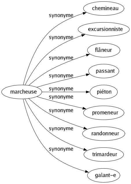 Synonyme de Marcheuse : Chemineau Excursionniste Flâneur Passant Piéton Promeneur Randonneur Trimardeur Galant-e 