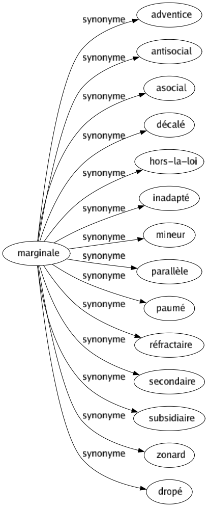 Synonyme de Marginale : Adventice Antisocial Asocial Décalé Hors-la-loi Inadapté Mineur Parallèle Paumé Réfractaire Secondaire Subsidiaire Zonard Dropé 