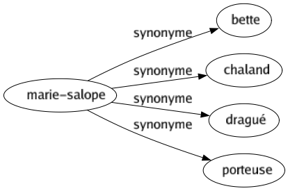 Synonyme de Marie-salope : Bette Chaland Dragué Porteuse 