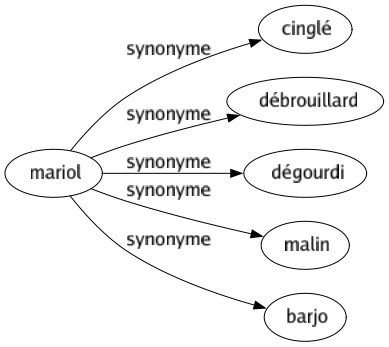 Synonyme de Mariol : Cinglé Débrouillard Dégourdi Malin Barjo 