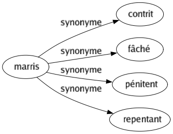 Synonyme de Marris : Contrit Fâché Pénitent Repentant 