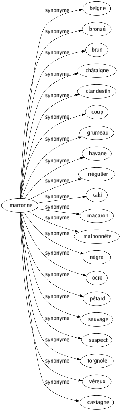 Synonyme de Marronne : Beigne Bronzé Brun Châtaigne Clandestin Coup Grumeau Havane Irrégulier Kaki Macaron Malhonnête Nègre Ocre Pétard Sauvage Suspect Torgnole Véreux Castagne 