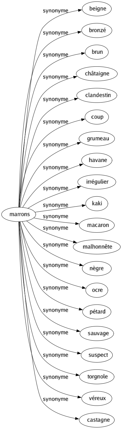 Synonyme de Marrons : Beigne Bronzé Brun Châtaigne Clandestin Coup Grumeau Havane Irrégulier Kaki Macaron Malhonnête Nègre Ocre Pétard Sauvage Suspect Torgnole Véreux Castagne 