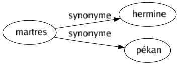 Synonyme de Martres : Hermine Pékan 