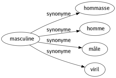 Synonyme de Masculine : Hommasse Homme Mâle Viril 