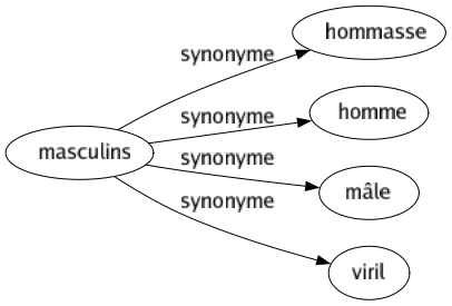 Synonyme de Masculins : Hommasse Homme Mâle Viril 