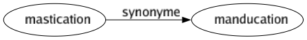 Synonyme de Mastication : Manducation 