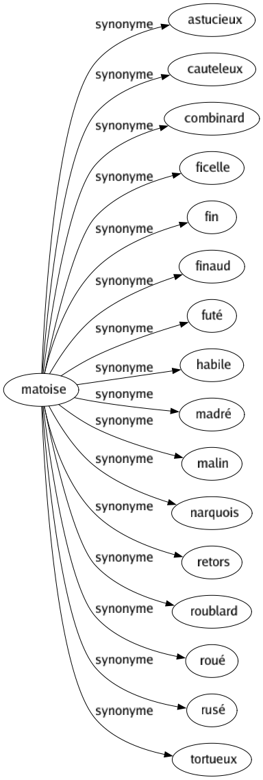 Synonyme de Matoise : Astucieux Cauteleux Combinard Ficelle Fin Finaud Futé Habile Madré Malin Narquois Retors Roublard Roué Rusé Tortueux 