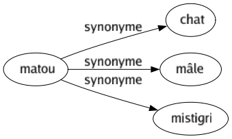 Synonyme de Matou : Chat Mâle Mistigri 