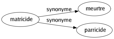 Synonyme de Matricide : Meurtre Parricide 