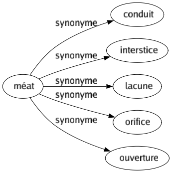 Synonyme de Méat : Conduit Interstice Lacune Orifice Ouverture 