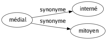 Synonyme de Médial : Interné Mitoyen 