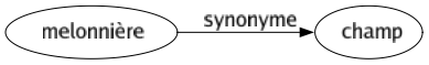 Synonyme de Melonnière : Champ 