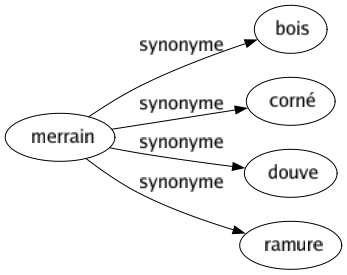 Synonyme de Merrain : Bois Corné Douve Ramure 