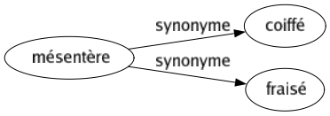 Synonyme de Mésentère : Coiffé Fraisé 