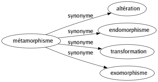 Synonyme de Métamorphisme : Altération Endomorphisme Transformation Exomorphisme 