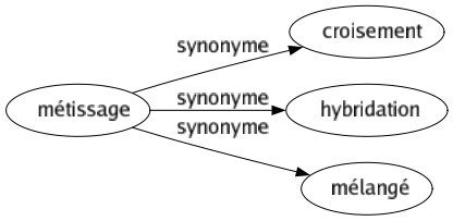 Synonyme de Métissage : Croisement Hybridation Mélangé 