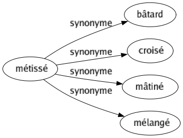 Synonyme de Métissé : Bâtard Croisé Mâtiné Mélangé 