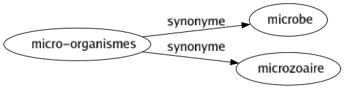 Synonyme de Micro-organismes : Microbe Microzoaire 