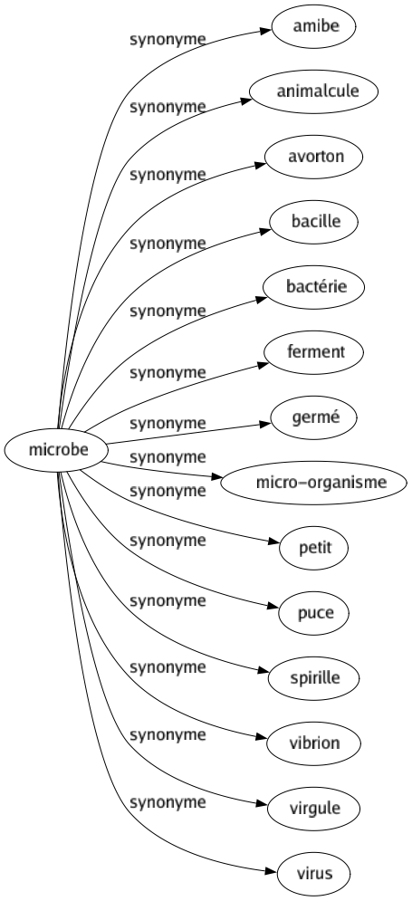 Synonyme de Microbe : Amibe Animalcule Avorton Bacille Bactérie Ferment Germé Micro-organisme Petit Puce Spirille Vibrion Virgule Virus 