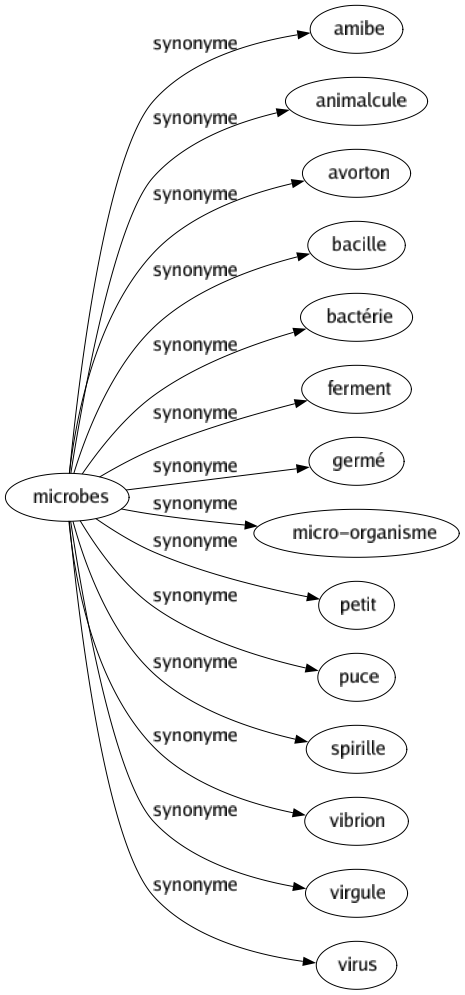 Synonyme de Microbes : Amibe Animalcule Avorton Bacille Bactérie Ferment Germé Micro-organisme Petit Puce Spirille Vibrion Virgule Virus 