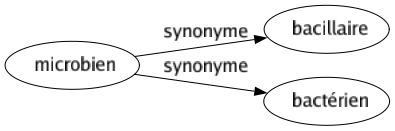 Synonyme de Microbien : Bacillaire Bactérien 