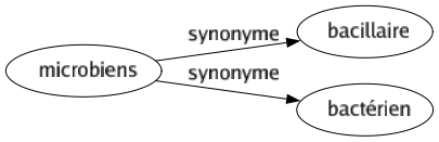 Synonyme de Microbiens : Bacillaire Bactérien 