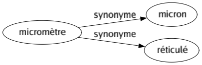 Synonyme de Micromètre : Micron Réticulé 