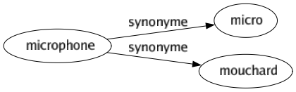 Synonyme de Microphone : Micro Mouchard 