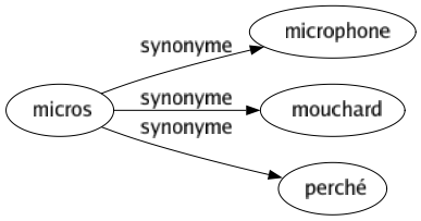 Synonyme de Micros : Microphone Mouchard Perché 