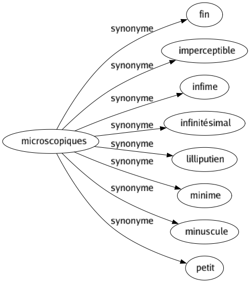 Synonyme de Microscopiques : Fin Imperceptible Infime Infinitésimal Lilliputien Minime Minuscule Petit 