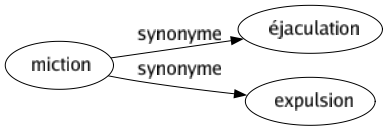 Synonyme de Miction : Éjaculation Expulsion 